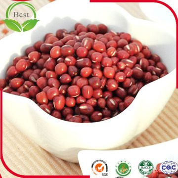 Red Adzuki Beans Vigna Beans